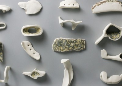 Jenny Pope, Bone Collections